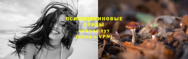 герыч Арсеньев